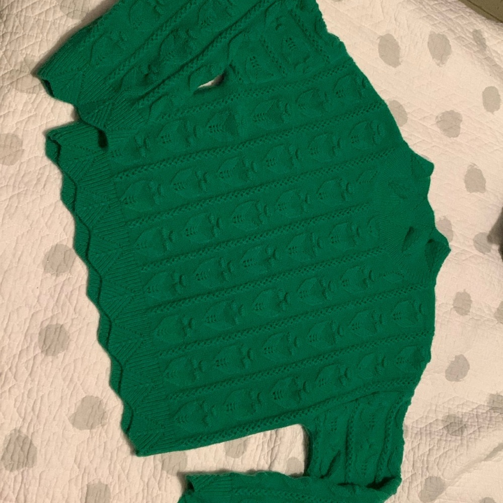 Like new Cider beautiful green sweater with scalloped edges